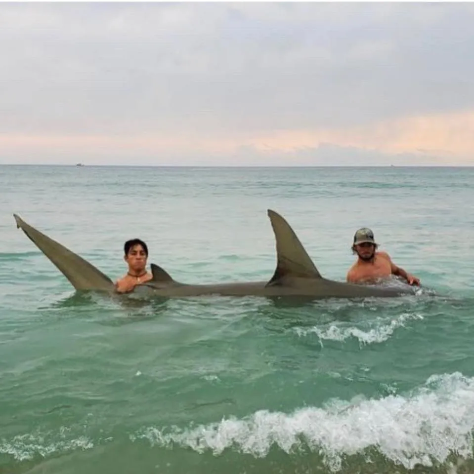 Noname Shark Charters